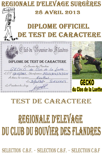 GECKO du Clos de la Luette